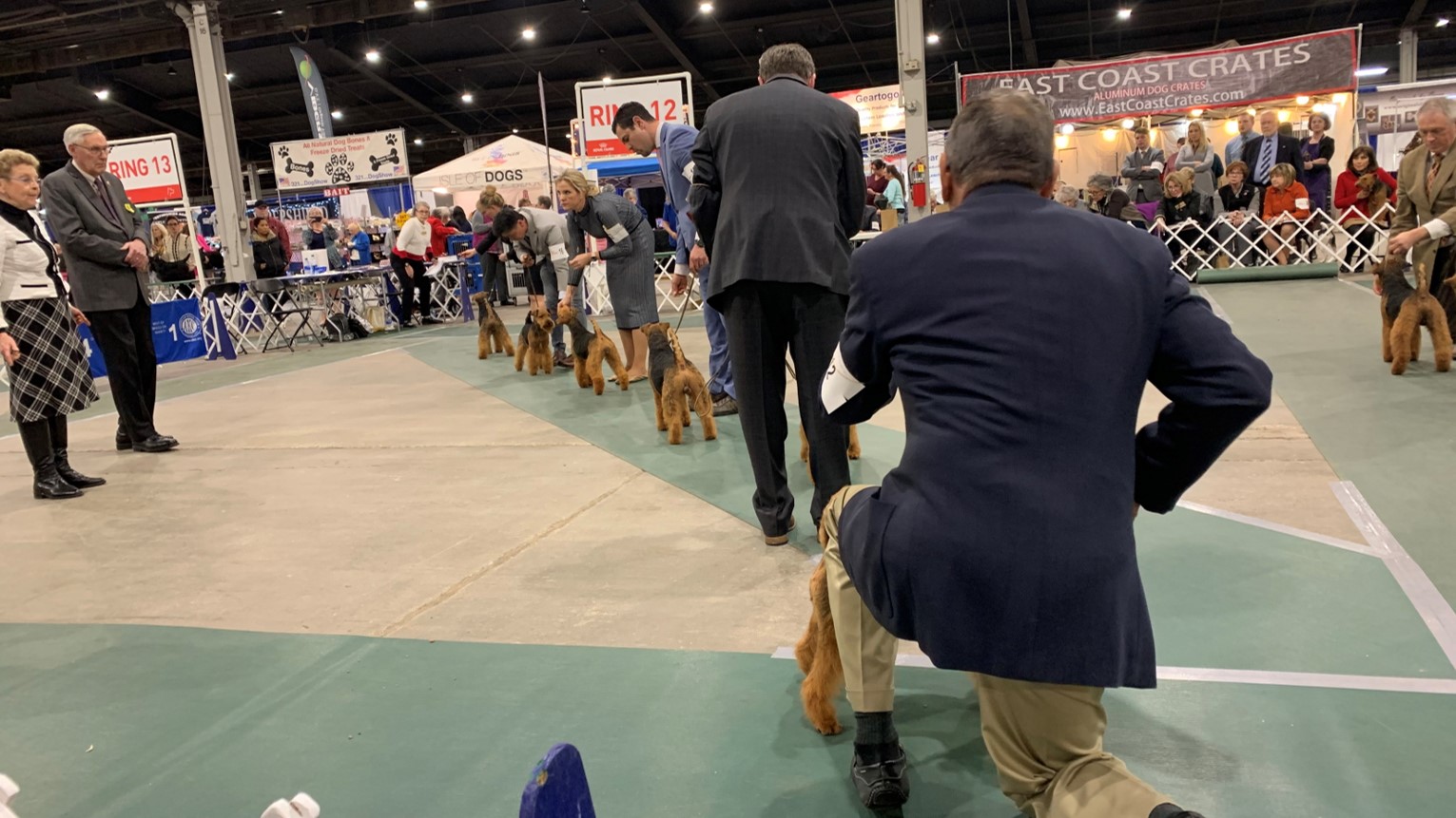 Ringside mentoring on judging procedures welsh terrier club of