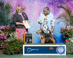 Margie - Best Veterans Sweeps